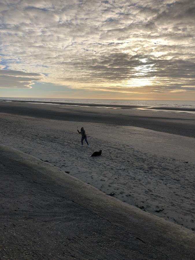 Villa Mowgli De Panne Eksteriør bilde
